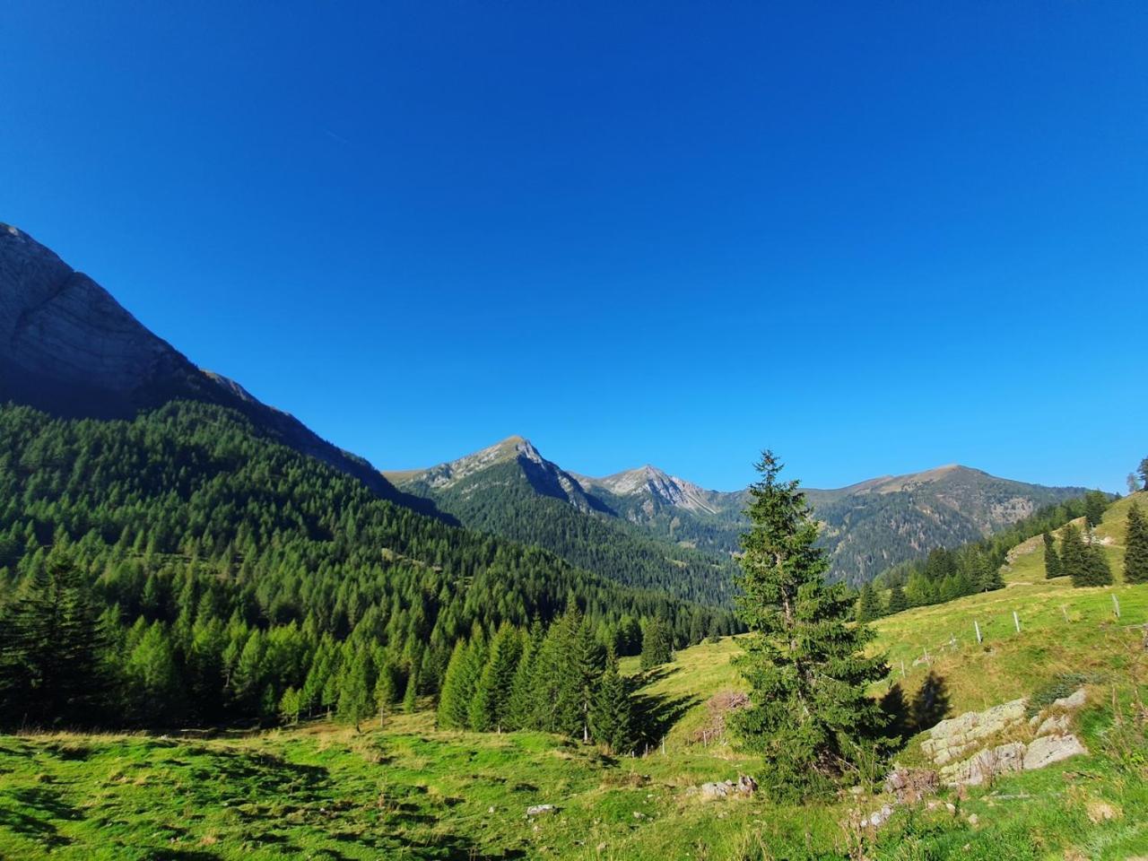 Haus Kraller-Urlaub Mit Seeblick ميلستاف المظهر الخارجي الصورة